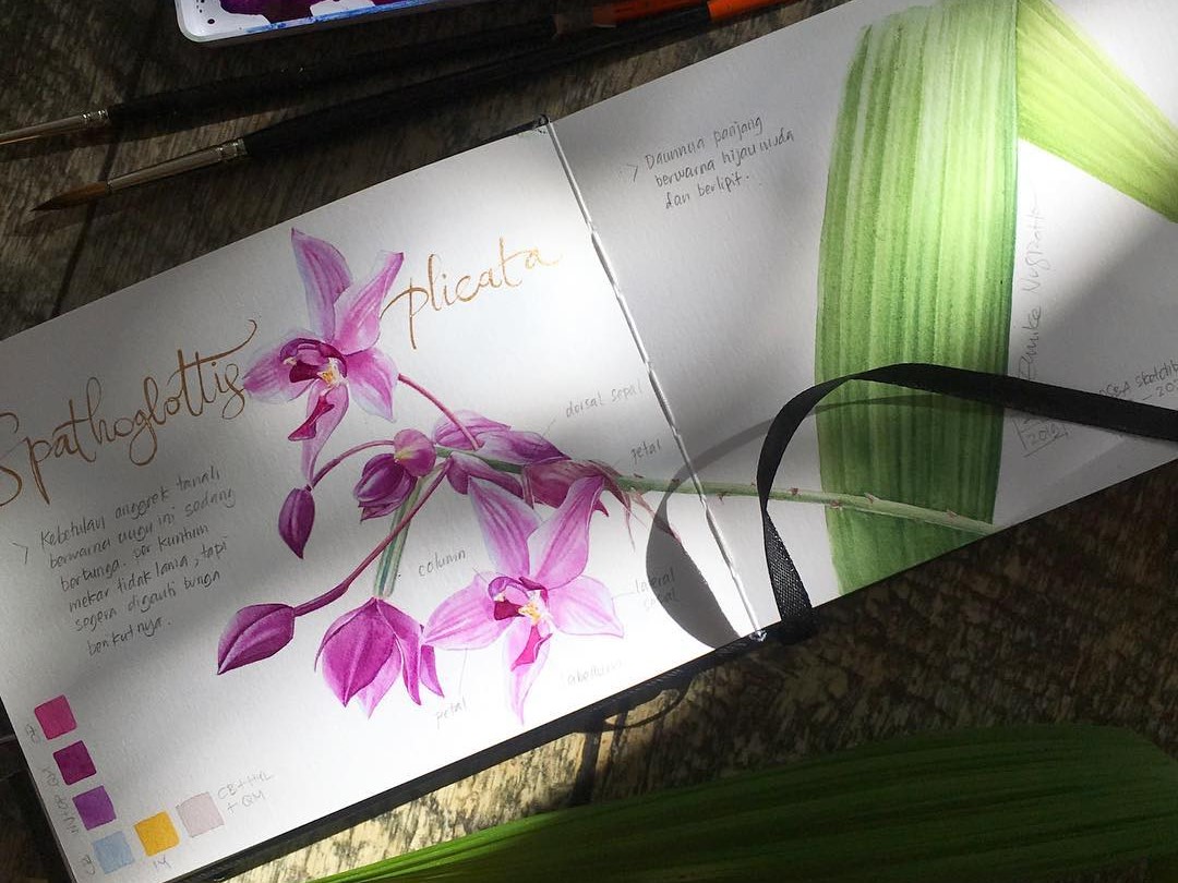 Contoh karya seni botani